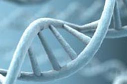 秋思短信轰炸平台